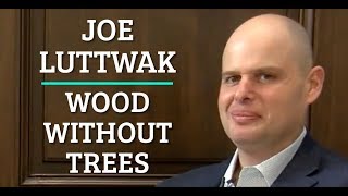 Simulation #57 Joe Luttwak - Wood Without Trees [Indie Bio]