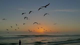 Sunrise on Daytona Beach