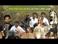 Dog kennel in kanyakumari | Dog for sales | Dog kennel in Tamil Nadu | Puppy sales