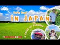 Farm Tour in Japan