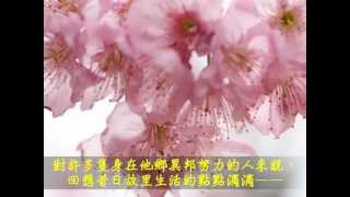 《踏過櫻華第幾橋 ☆ Under The Cherry Blossoms》