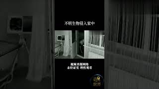 一位女孩正在收晾干的衣服 直到监视器拍到不明生物在门口？#奇异世界 #horror #恐怖 #驚人 #神秘生物 #地底人 #恐怖生物 #不明生物 #胆小误入