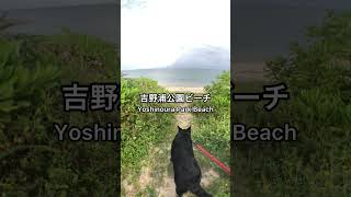 【Okinawa】Yoshinoura Park Beach, Nakagusuku Village #shorts