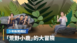 《少週封面故事》「荒野小鹿」的大冒險　生態旅行國小生也能一手包辦！｜少年新聞週記 #鏡新聞