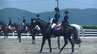 2018.5.11 第90回関東学生馬術選手権大会 関東学生馬術選手権 2回戦（部班競技） 三浦大輝 慶楼号