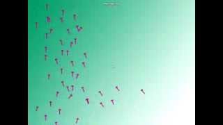Flocking Algorithm