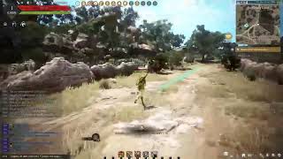 Lost Cities \u0026 Hidden Treasures: LIVE Black Desert Exploration Stream