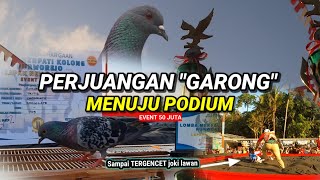 MERPATI GARONG TEAM NEW RAMPOK PODIUM EVENT 50 JUTA.