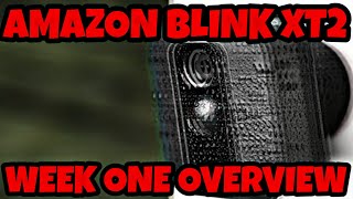 AMAZON BLINK XT2 1 WEEK UPDATE + SETTING OVERVIEW