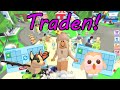 Ich ERTRADE mir einen BAT DRAGON und eine NEON OWL in Adopt Me! + Verlosung (Deutsch) | RobloxLara