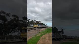 TRAINS AM22 Pacific National 2PM6 NR82 8117 G538 28/07/2022 at Monarto, South Australia