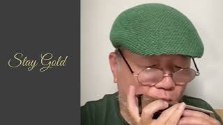 Chromatic Harmonica【Stay Gold（Stevie Wonder）】Tokunaga Sound：徳永延生71才のオールラウンドなハーモニカ吹きが吹いてみた。