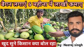 देसी तरीके से बैगन की खेती लाखों का मुनाफा | brinjal Farming | baigan ki kheti kaise karen by neeraj