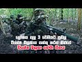 sri lanka army special forces them song #sf #hiruva #hiruva_team