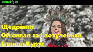 Галина Курус Щедрівка Ой сивая та і зозуленька