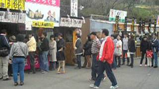 三春滝桜　2012年4月30日　午前6時 #3