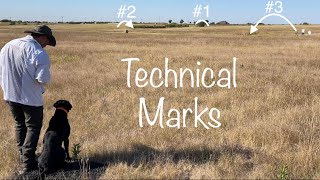 Retriever Training Alone: Technical Marks