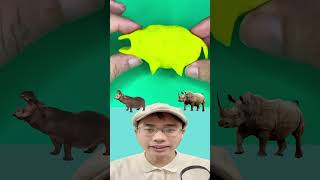 thử tài đoán đúng tập 60 #shorts #shortsvideo #short #shortvideo