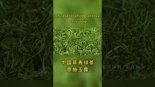 什么是恩施玉露？中国蒸青绿茶！What is Enshi Yulu? Chinese steamed green tea!