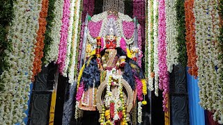 sri bangaramma thalli vigraha prathista  2023 , Alaganipadu.