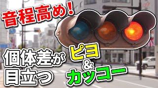 【信号機】聞き比べて違いが分かる！長野市かるかや山前交差点(Traffic Light with Sound in Japan)