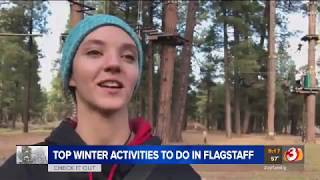3 things to do in Flagstaff this winter