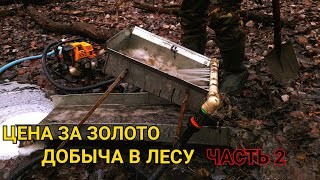 ЦЕНА ЗА ЗОЛОТО ДОБЫЧА В ЛЕСУ...ЧАСТЬ 2