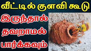 வீட்டில் குளவி கூடு இருந்தால் தவறாமல் பார்க்கவும் | Astrology | T Tamil Technology