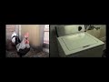 death metal rooster ft. drumming washing machine