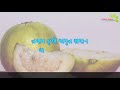 જામફળના ફાયદાઓ જાણીને રોજ ખાશો જામફળ benefits of guava fruit part 1