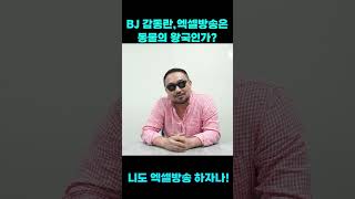 BJ 감동란, 엑셀 방송은 동물의 왕국!