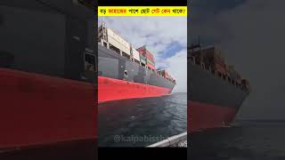 জাহাজের এই ছোট গেটের আসল কাজ কী?😯 | The Mystery of Small Gates on Huge Ships | #shorts