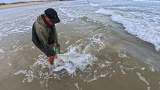 NET FISHING in TOMBO - Looking for MULLETS!