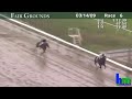 rachel alexandra wins the 2009 fair grounds oaks