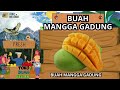 buah apakah ini.. full video @abc.adiceria