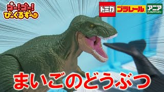 【公式】びーくるずー「まいごのどうぶつ」【トミカ・プラレール・アニア】