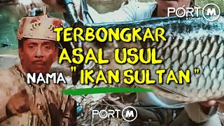 Terbongkar Asal Usul Nama Ikan Sultan / Ikan Jelawat Antara Ikan Termahal Di Malaysia