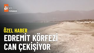 ÖZEL HABER – Edremit'te nüfus arttı, altyapı yetersiz kaldı - atv Ana Haber 17 Ağustos 2023