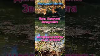 Народные Запреты на 25 октября в день Андрона Звездочёта.