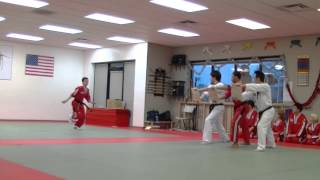 James triple kicks - Grandmaster Lee TKD