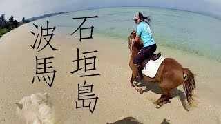 Horseback Riding on a Beautiful Beach in Ishigaki Island