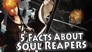 TOP 5 FACTS -- SOUL REAPERS (BLEACH)
