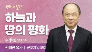 하늘과 땅의 평화 (누가복음 2:8-14) | 권태진 목사 | 군포제일교회 | 생명의 말씀