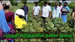 பருத்தி எடுத்தலில் நவீன முறை | modern method of cotton picking