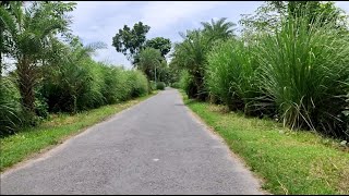 Chatmohar To Astomonisha Road 2021 | চাটমোহর। অষ্টমনিষা | Vangura | Pabna।ভাঙ্গুড়া, পাবনা Bangladesh