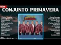 Conjunto Primavera 2024 ~ Best Songs, Greatest Hits, Full Album