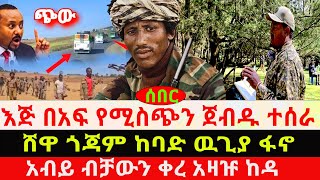 እጅ በአፍ የሚስጭን ጀብዱ ተሰራ/ ሸዋ -ጎጃም- ከባድ ዉ-ጊ-ያ ፋኖ/ አብይ ብቻውን ቀረ አዛዡ ከዳ/