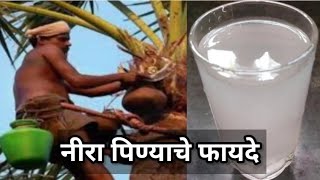 नीरा पिण्याचे फायदे जाणून घ्या || Learn The Benefits Of Drinking Nira #youtubevideo #benefits