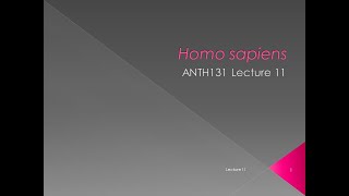 Lecture 11   Homo sapiens