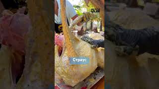 Путь Кекеев-страус #cooking #kyrgyzstan #food #казахстан #мясотолькомясо #путь #
